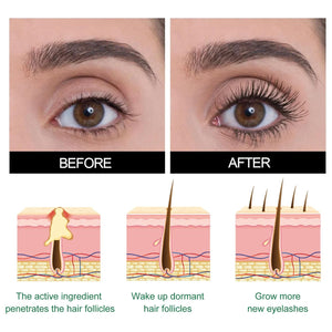 GFOUK™ Lashelixir | Suero Para Pestañas Y Cejas